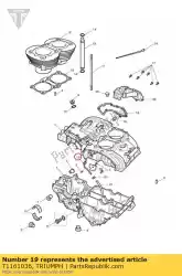 Qui puoi ordinare tubo di sfiato scarico da Triumph , con numero parte T1161036: