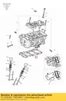 T1150929, Triumph, Diâmetro da junta da cabeça do cilindro. 74,0 triumph daytona 675 from vin 381275 daytona 675 vin 381275 to vin 564947 street triple street triple from vin 560477 street triple r street triple r from vin 560477 street triple r to vin 560476 street triple to vin 560476 tiger 800 tiger 800xc 675 800 20, Novo