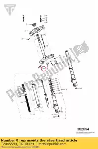 triumph T2045594 kit de peças sobressalentes, parafusos de cabeça - Lado inferior