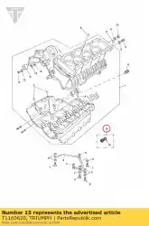 Qui puoi ordinare vetro spia da Triumph , con numero parte T1160620: