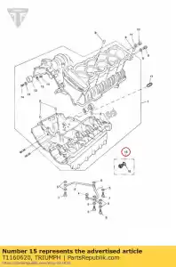 triumph T1160620 vetro spia - Il fondo