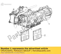 CM1425645, Piaggio Group, (d) eng..250 4s / 4v e3, es decir, mp3 usa x ric. piaggio mp usa 250 3, Nuevo