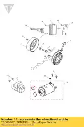 Here you can order the o ring from Triumph, with part number T3600807: