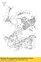 Qui puoi ordinare staffa calandra radiatore posteriore dx da Triumph , con numero parte T2103131: