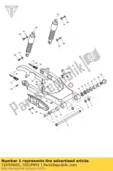 Here you can order the swinging arm assembly from Triumph, with part number T2059600: