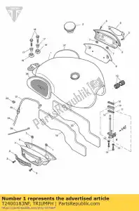 triumph T2400183NF serbatoio assyfusion/tor - Il fondo