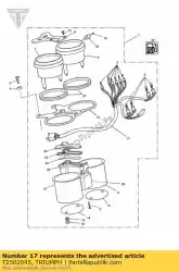 Qui puoi ordinare imbracatura da Triumph , con numero parte T2502045: