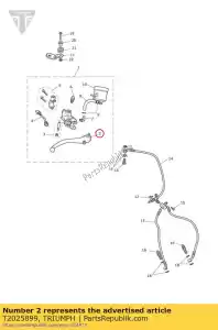 triumph T2025899 leva freno anteriore front - Il fondo
