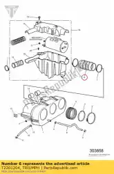 Qui puoi ordinare condotto dell'aria da Triumph , con numero parte T2201204: