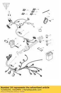 triumph T2500259 relais, doorvoertule - Onderkant