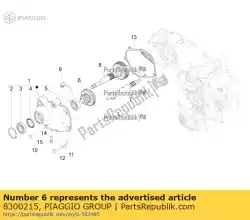 Qui puoi ordinare albero di trasmissione da Piaggio Group , con numero parte 8300215: