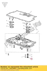 triumph T1231747 ?ruba miski olejowej m14 - Dół