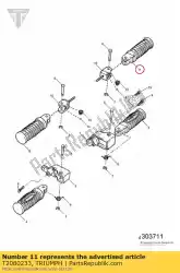 Here you can order the kit footrest assy lh & rh from Triumph, with part number T2080233: