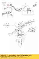 T2040252, Triumph, Attuatore acceleratore, doppio cavo Triumph Speed Triple Street 1050 675 EFI R, Usato