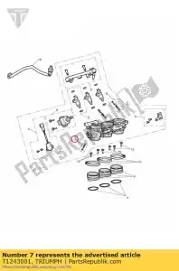 triumph T1243001 gas stop, assy - Onderkant