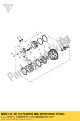 Tutaj możesz zamówić ? Ruba m6 x 28 od Triumph , z numerem części T1170950: