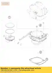 Here you can order the cylinder and piston cpl. From KTM, with part number 78630038300: