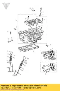 triumph T1150147 cilinderkop 3 cil m/c sai zwart - Onderkant