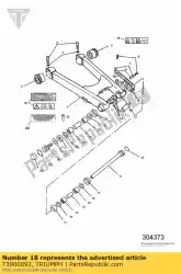 Here you can order the label, chain&tyres, reduced size from Triumph, with part number T3900092: