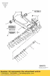 triumph T3900092 label, ketting & banden, verkleind - Onderkant