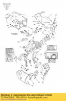 T2304028FA, Triumph, t2304028-fa owiewka kokpitu triumph daytona1200, 900 & super iii 1200 1992 1993 1994 1995, Nowy