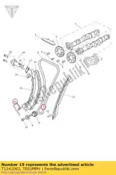 Here you can order the dowel, tensioner from Triumph, with part number T1141062: