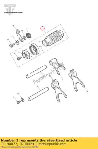 triumph T1190077 assy, selector drum & wheel - Bottom side