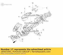 Qui puoi ordinare cespuglio da Piaggio Group , con numero parte 1B003585: