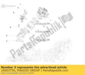 Piaggio Group 1A003750 gasket - Bottom side