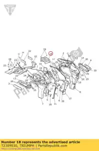 triumph T2309030 ?rodkowy panel czo?owy zbiornika - Dół