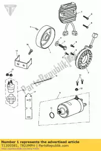 triumph T1300581 alternador, rotor - Lado inferior