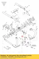 T2205303, Triumph, bracket crankcase fabricated triumph thunderbird commander thunderbird lt 1700 2014 2015, New