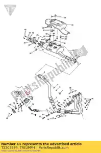 triumph T2203894 attuatore valvola di scarico brkt - Il fondo
