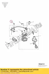 Here you can order the screw, c/sunk, tx, m6x1. 0x25, slv from Triumph, with part number T3330184: