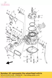 Here you can order the cover from Yamaha, with part number 5CU1131M1100: