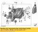 Caja de cambios en ángulo recto con ventilación, plateada - i = 33:12 = 2,75 BMW 33117726891