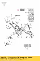 T3900169, Triumph, label frame modification triumph adventurer > 71698 adventurer 71699 > america efi bonneville & bonneville t100 carbs bonneville & bonneville t100 efi bonneville efi > 380776 bonneville from vin 380777 & se bonneville from vin 380777/ se bonneville t100 efi d, New