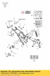 Tutaj możesz zamówić modyfikacja ramki etykiety od Triumph , z numerem części T3900169: