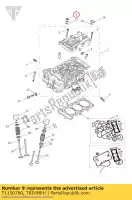 T1150780, Triumph, tuerca de culata m9 triumph daytona 675 from vin 564948 daytona 675r from vin 564948 675 2013 2014, Nuevo