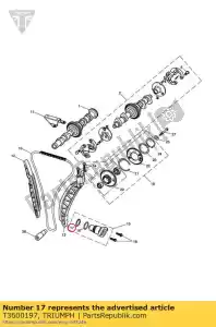 triumph T3600197 junta tórica 25,8 x 2,4 - Lado inferior