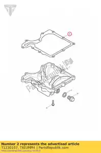 triumph T1230107 guarnizione coppa - Il fondo