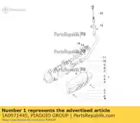 1A0071445, Piaggio Group, Auspuff komplett-schutz piaggio medley rp8ma0200, rp8ma0210, rp8ma0220, rp8ma024, rp8ma0211,  rp8ma0210, rp8ma0231, rp8ma0220, rp8ma0222,  rp8ma0220, rp8ma0221 150 2016 2017 2018 2019 2020 2021, Nouveau