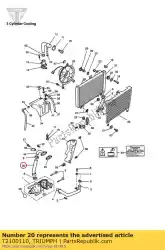 Qui puoi ordinare uscita del tubo da Triumph , con numero parte T2100110: