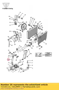 triumph T2100110 salida de manguera - Lado inferior
