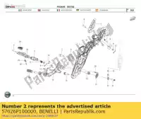 57026P100000, Benelli, buisson benelli euro 3 euro 4 302 2015 2017 2018 2019 2020, Nouveau