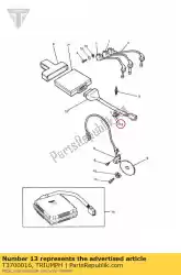 Here you can order the cable tie from Triumph, with part number T3700016: