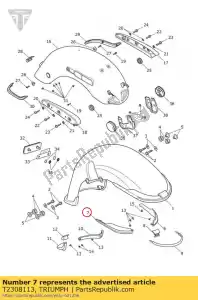 triumph T2308113 ozdobny prawy przód - Dół