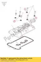 T1260337, Triumph, Sigillare la vite del coperchio della camma triumph america efi bonneville & bonneville t100 efi bonneville from vin 380777 & se bonneville from vin 380777/ se bonneville t100 efi scrambler efi speedmaster efi thruxton 900 efi tiger explorer tiger explorer xc trophy 1215 trophy 1215 se 865 , Nuovo