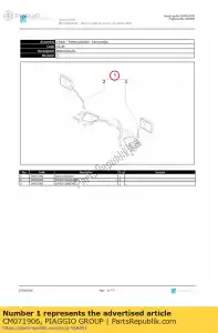 Piaggio Group CM071906 casal espelho - Lado inferior