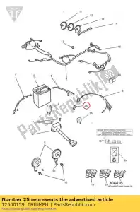 triumph T2500159 copertura del bagagliaio - Il fondo